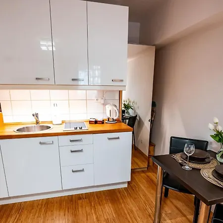 Przy Henryku Apartment *